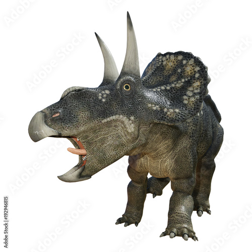 3D Rendering Dinosaur Diceratops on White © photosvac