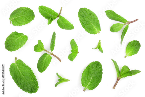 fresh green mint leaves isolated on white background, top view. Flat lay © kolesnikovserg