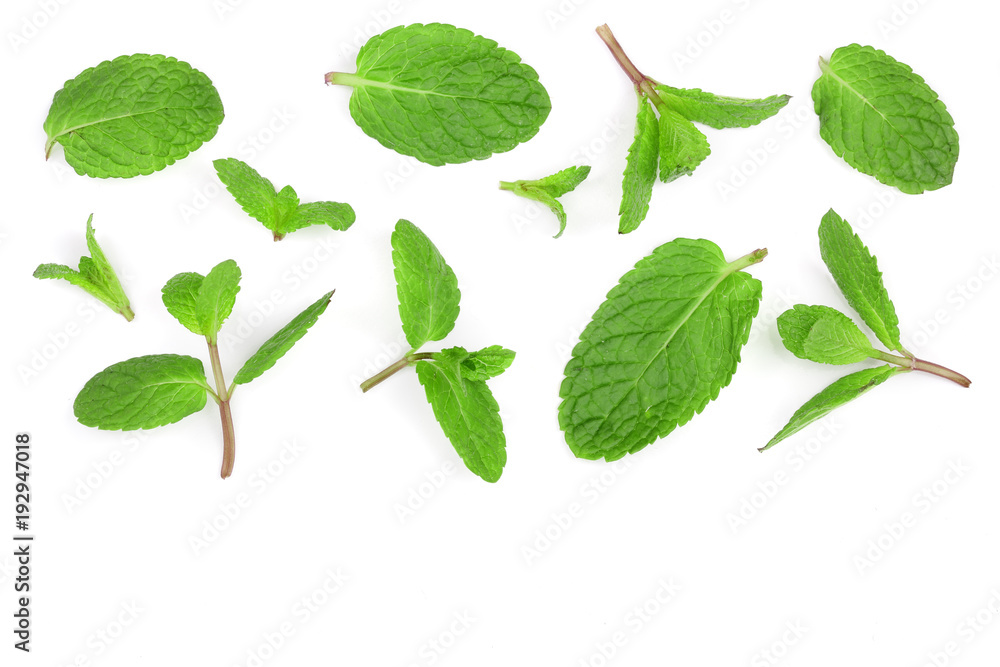 fresh green mint leaves isolated on white background with copy space for your text, top view. Flat lay fresh green mint leaves isolated on white background with copy space for your text, top view. Flat lay