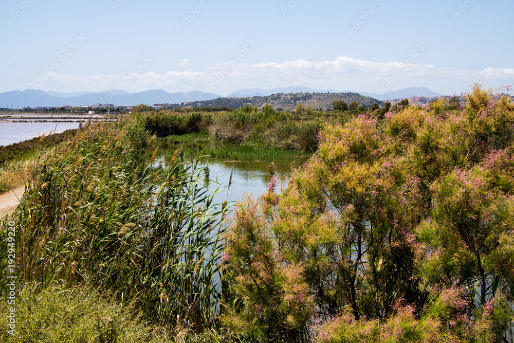 QUARTU S..E: Panoramica del  Parco Regionale di Molentargius - Sardegna