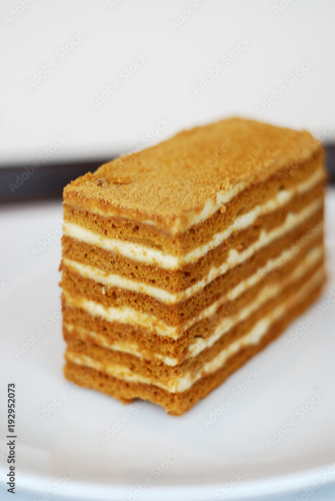 Piece of russian honey cake (Medovik)  on neutral background.