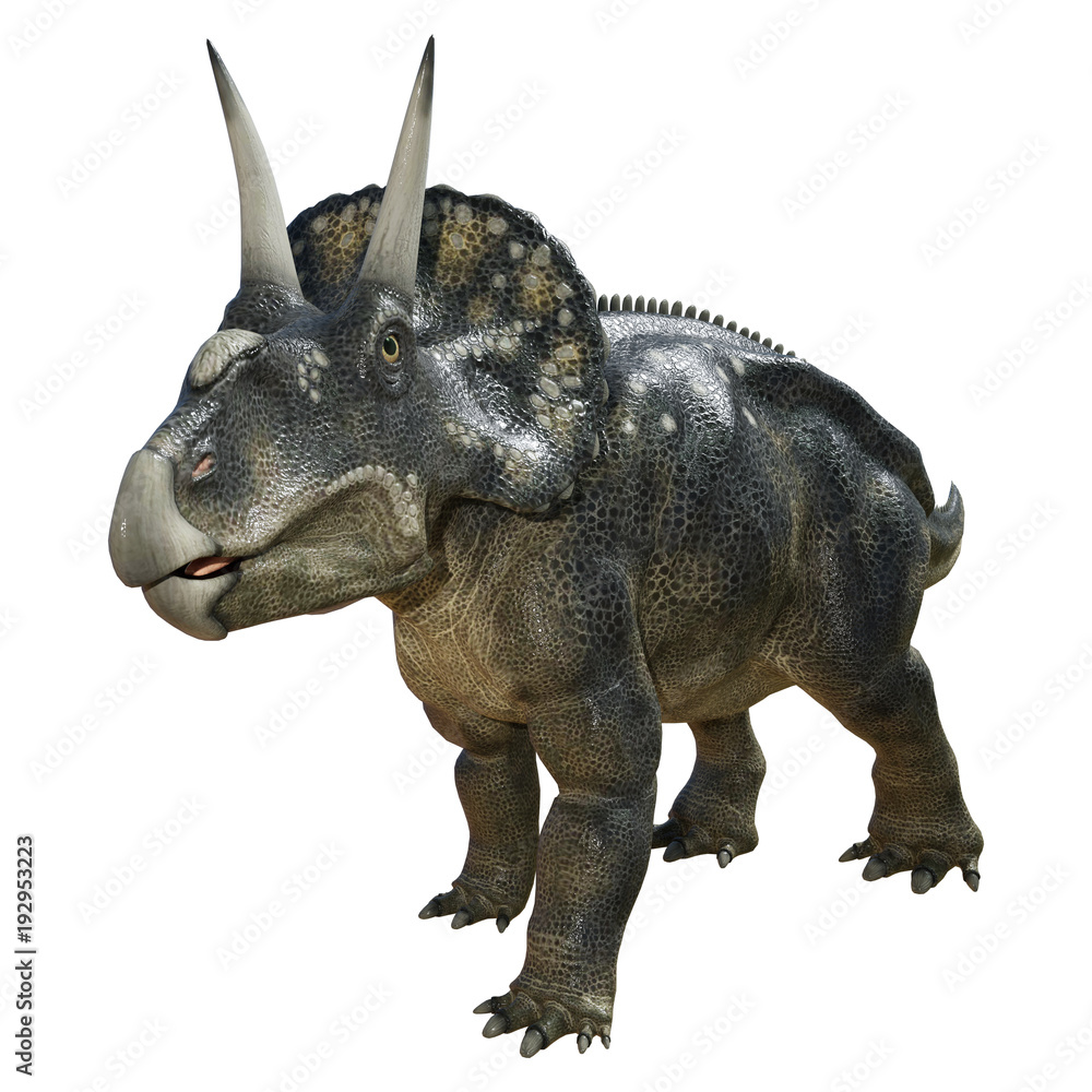 3D Rendering Dinosaur Diceratops on White 3D Rendering Dinosaur Diceratops on White