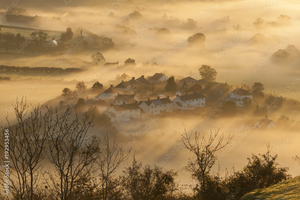 Obraz premium Dawn Mist