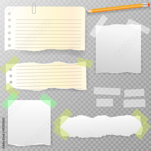Torn horizontal, note, notebook, copybook paper strips, sheets for text or message stuck with sticky tape on transparent background.