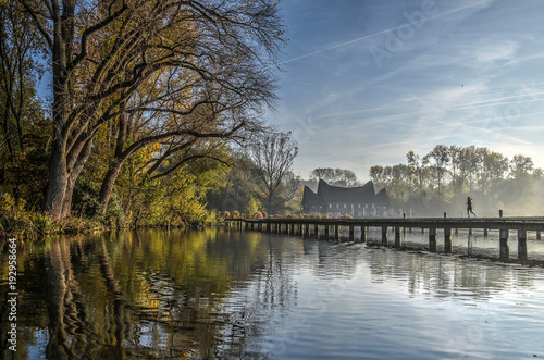 One person jogging on a wooden walkway through a lake in a parklike forest in Rotterdam, The Netherlands