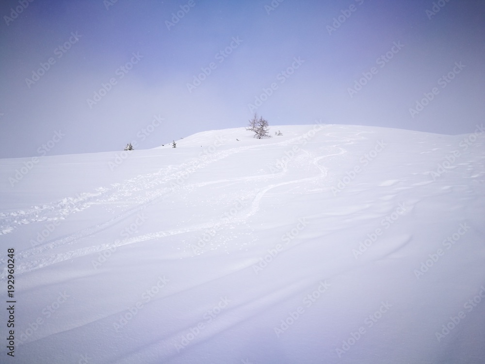 Skispuren im Tiefschnee