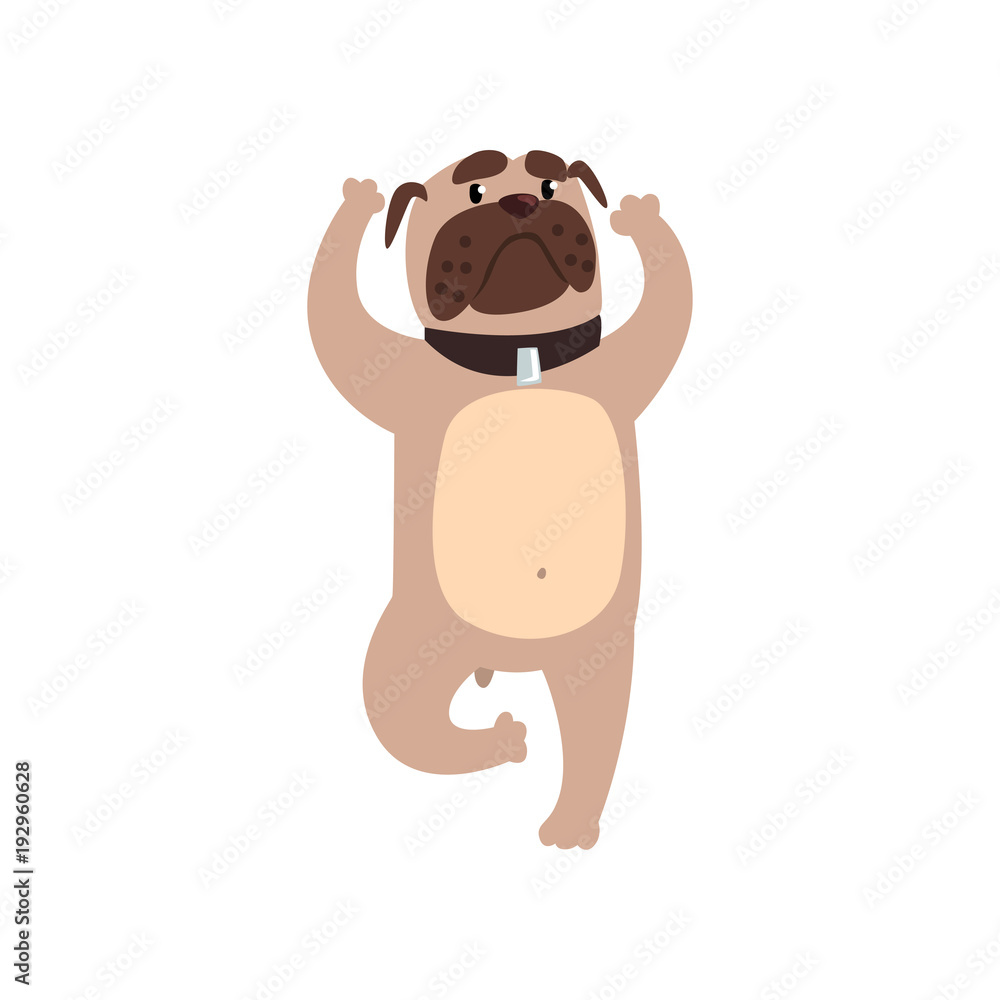 Obraz premium French bulldog standing in tree or vrishasana exercise, funny dog practicing yoga cartoon vector Illustration on a white background
