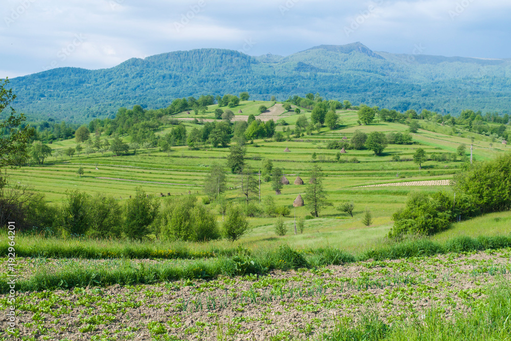 Rolling fields of the Maramures Countryside in Romania