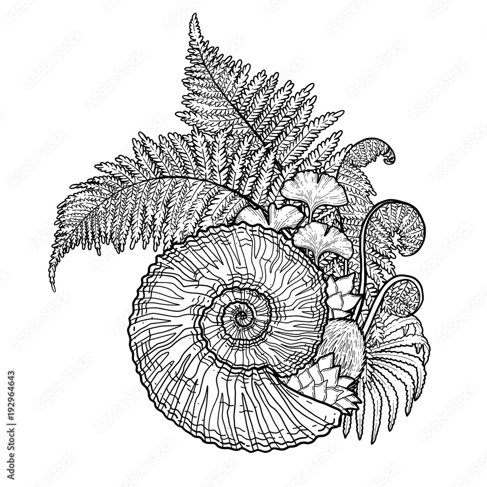 Obraz premium Prehistoric graphic seashell and fern branches