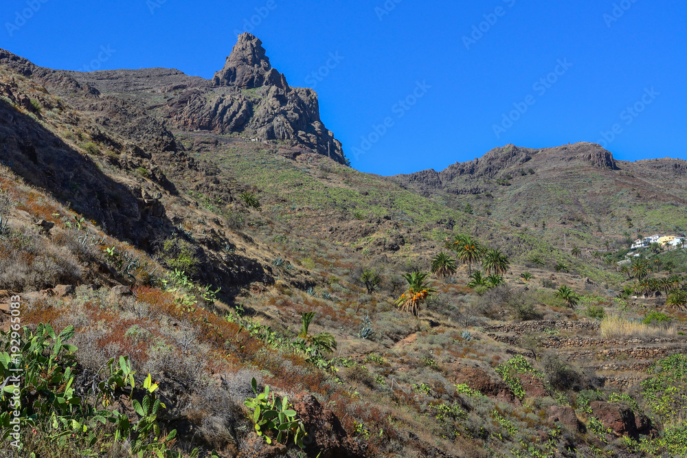 Spain Gomera island Barranco de Guarimiar Spain Gomera island Barranco de Guarimiar