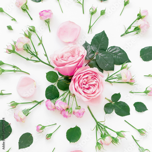 Stylish pattern made of pink roses, buds and leaf on white background. Flat lay, Top view.