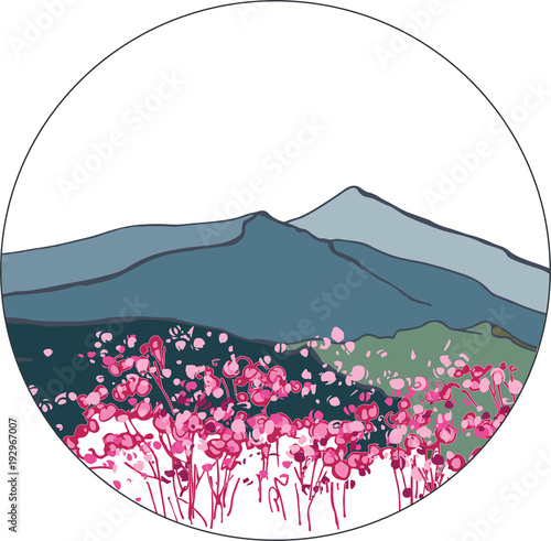 Landscape of South Korea. Korean mountains. Blooming azalea in the mountains. Chirisan Mountains
