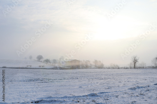 winter landscape on a cloudy day with lens flare