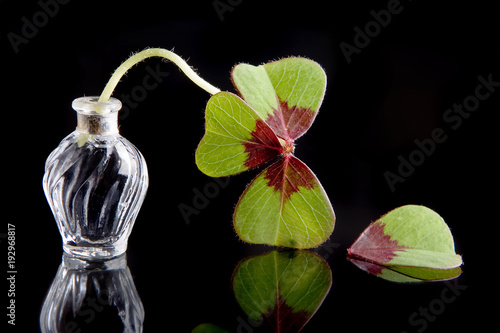 Foto Unlucky leaf