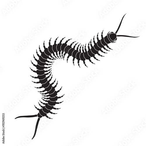 Valokuvatapetti Centipede icon. Realistic centipede vector.