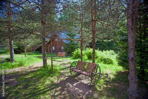 Benches and rural wooden house in the pine forest