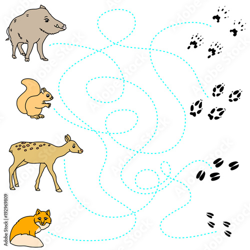 winter animals in the forest