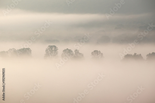 Fototapeta Naklejka Na Ścianę i Meble -  Fog