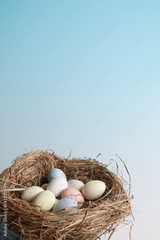 Fototapeta premium Easter nest