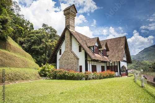 Fototapeta Detached tudor style house