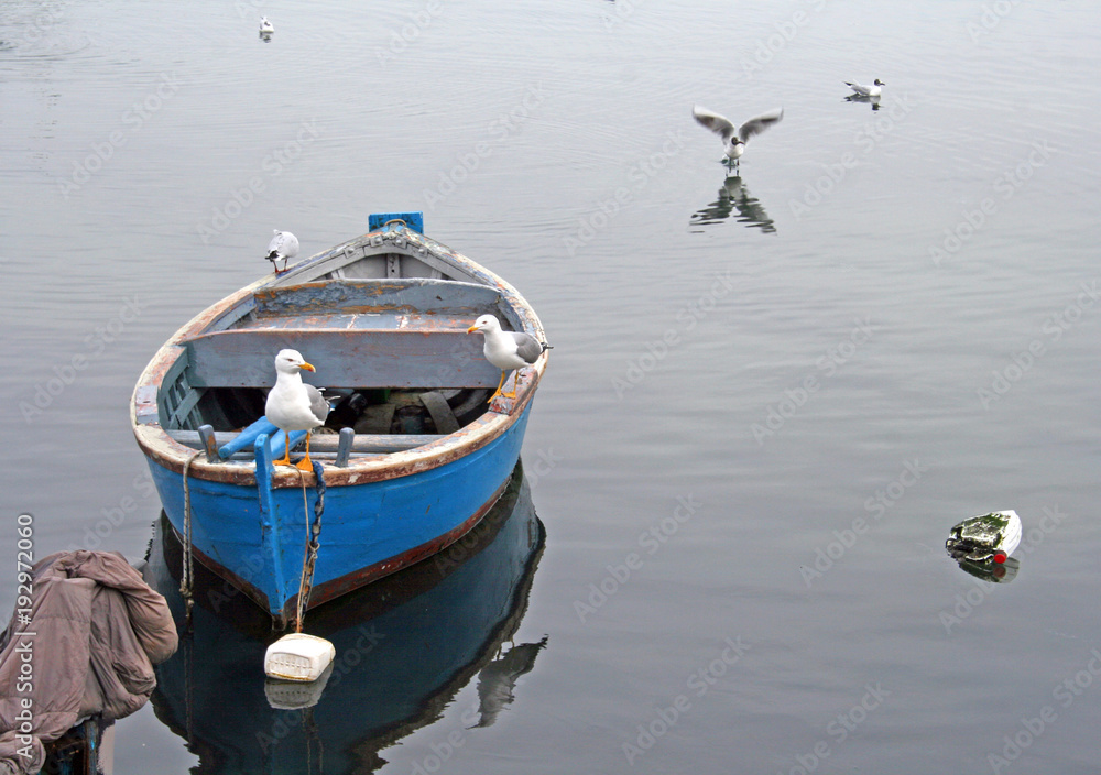 Old wooden boat anchored with seagulls on the very calm water and background
