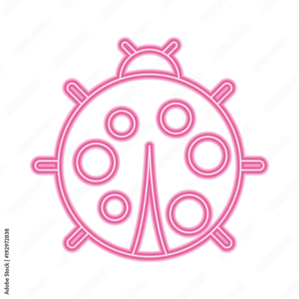 Fototapeta premium cute ladybug dotted animal insect wildlife vector illustration pink neon image