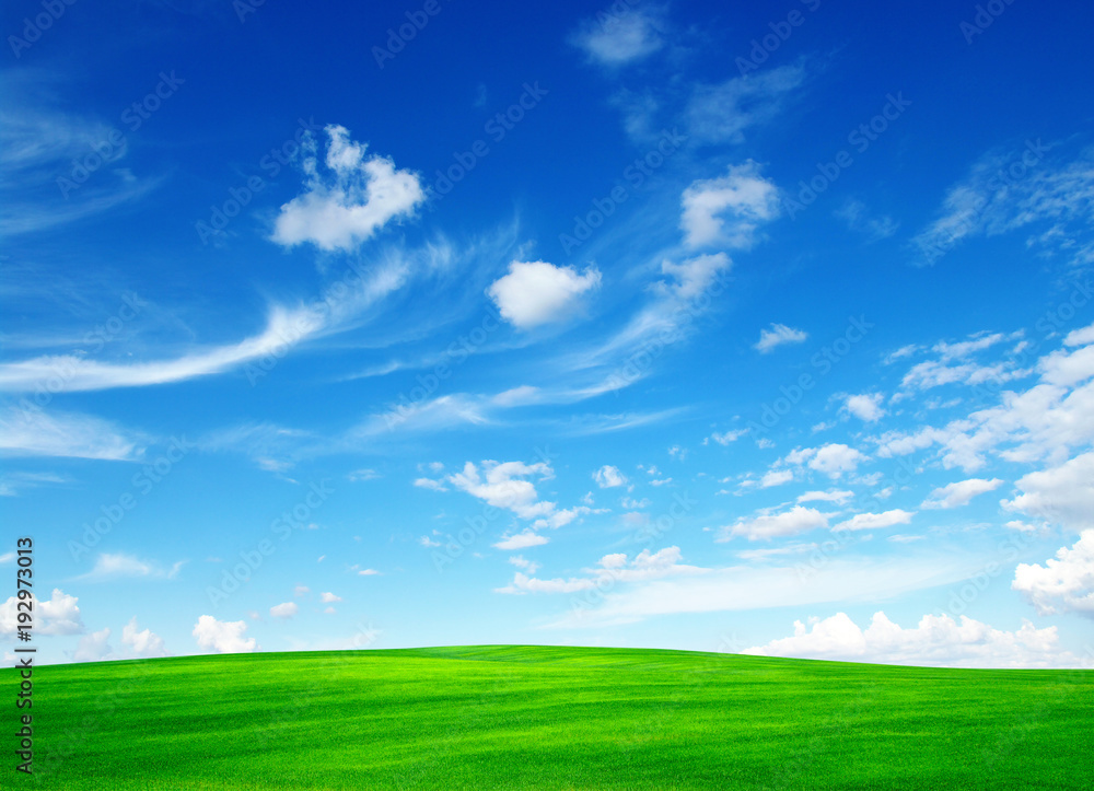  field and sky