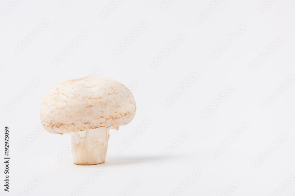 raw champignon mushroom laying on white background raw champignon mushroom laying on white background
