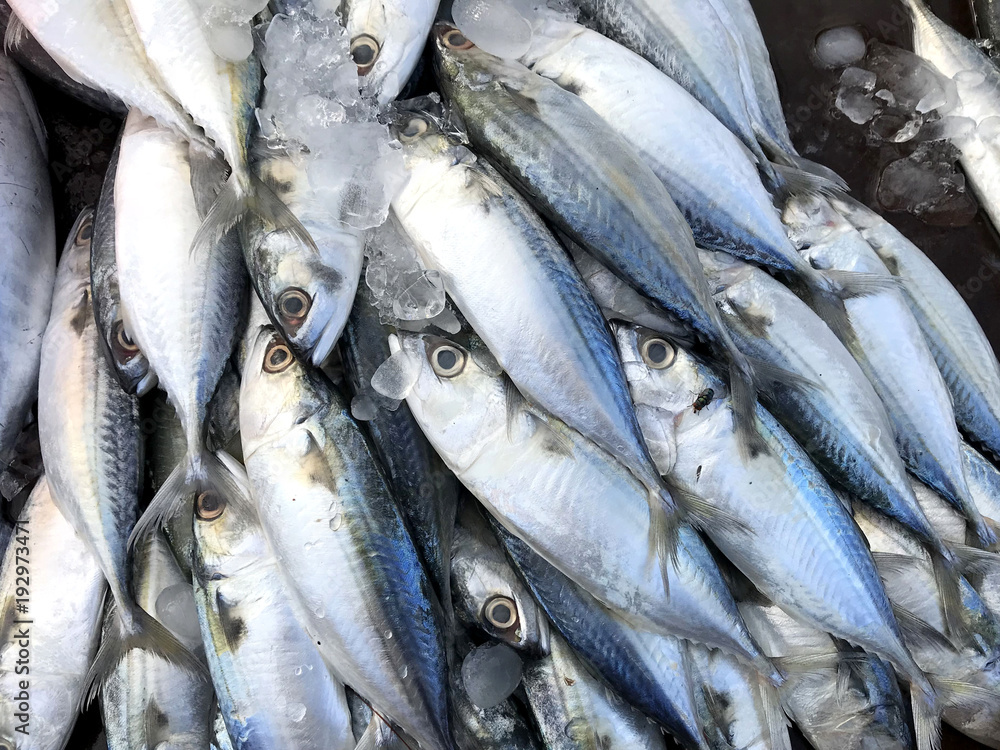Fresh fish put on ice in market. Phuket in Thailand. Fresh fish put on ice in market. Phuket in Thailand.