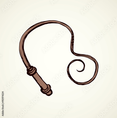 Whip. Vector drawing