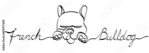 Minimalistic linear line drawing of a sleeping french bulldog on a transparent background. Vector asset for logo.