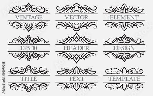 Vintage elements with a header field. Set of titles decorations.