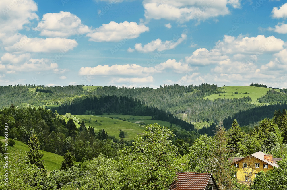 Naklejka premium Landscape of mountain meadows in summer on a sunny day