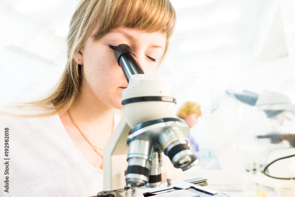 The technician in a medical laboratory The technician in a medical laboratory