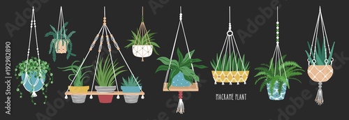 Collection of macrame hangers for potted plants. Set of hanging planters made of rope, elegant handmade home decorations isolated on black background. Cartoon flat colorful vector illustration.