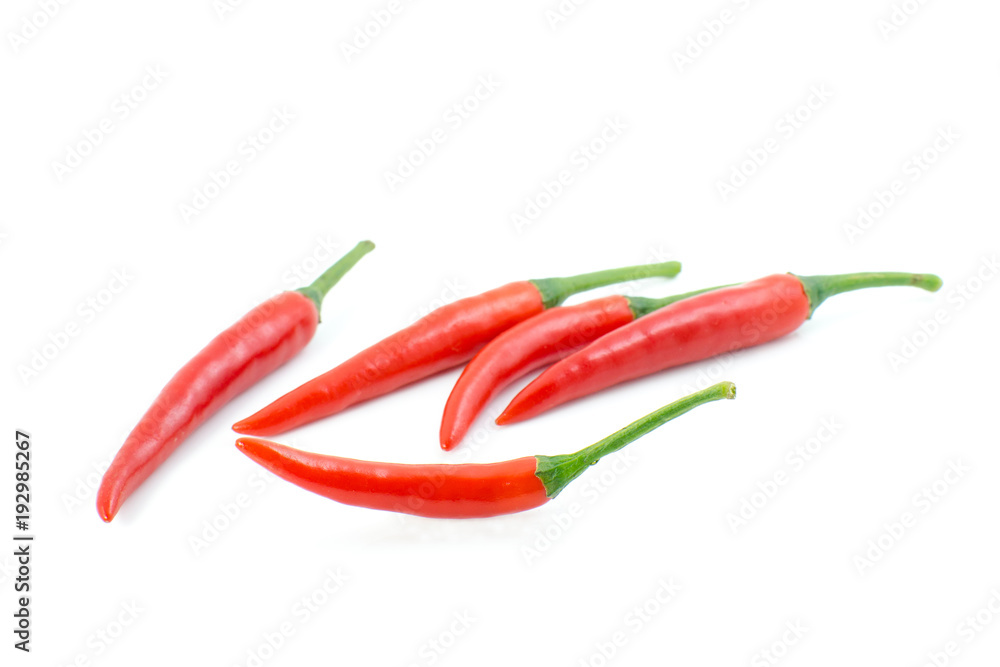 red chilli isolate on white background red chilli isolate on white background