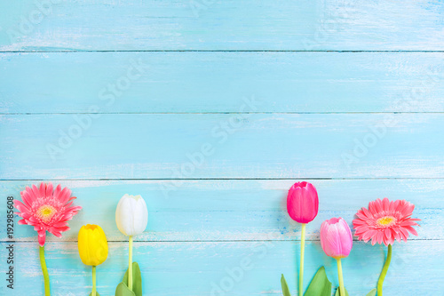 Different kinds of colorful flowers in line on blue wooden background. top view and border design,  flower of spring or summer background