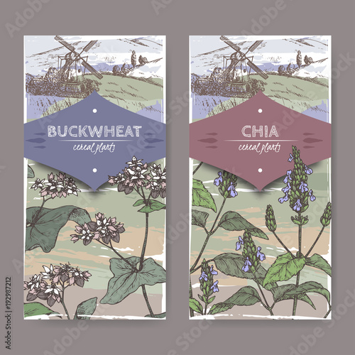 Two labels with Fagopyrum esculentum aka buckwheat and Salvia hispanica aka chia color sketch. Cereal plants collection.