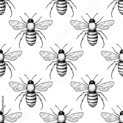 Bee vector seamless pattern. Hand drawn insect background. 