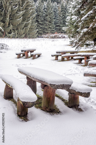 Wallpaper Mural Beautiful winter landscape with snow covered trees Torontodigital.ca
