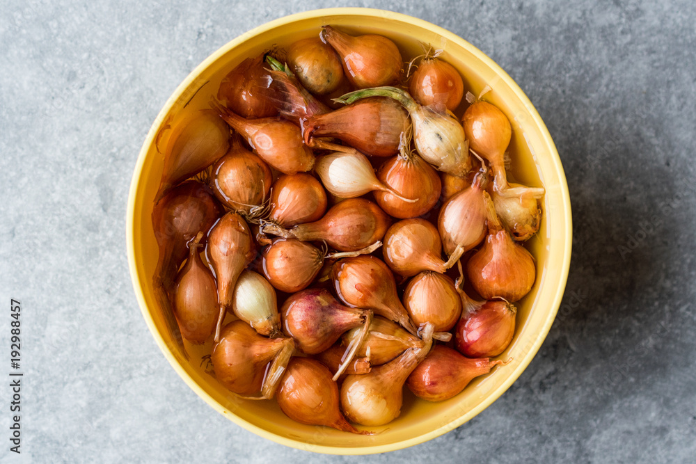 Still Life Onions / Shallots in water with Bulbs. Still Life Onions / Shallots in water with Bulbs.