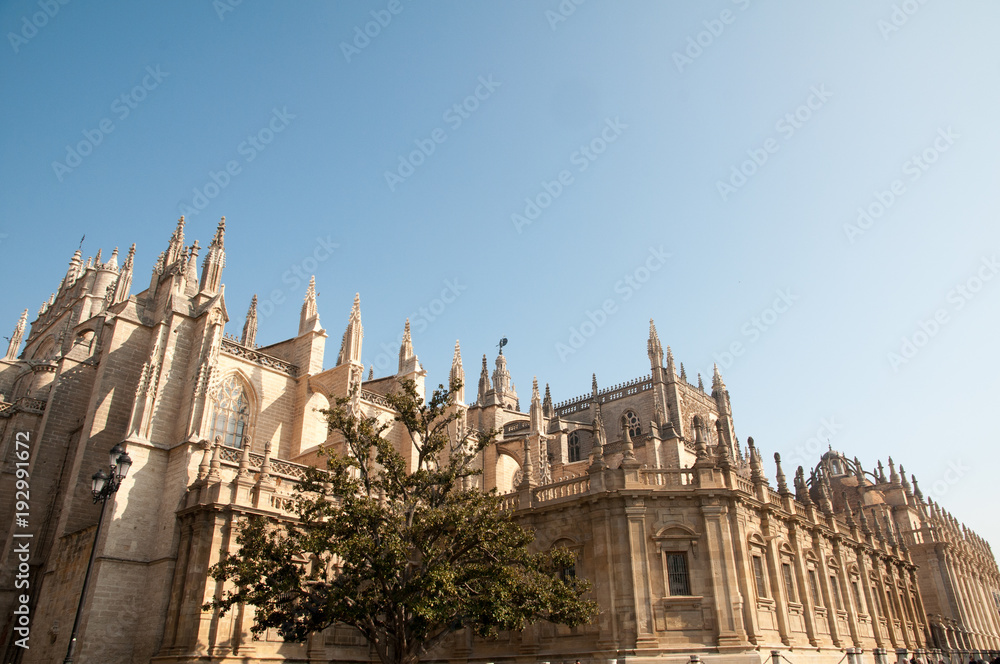 Seville Cathedral