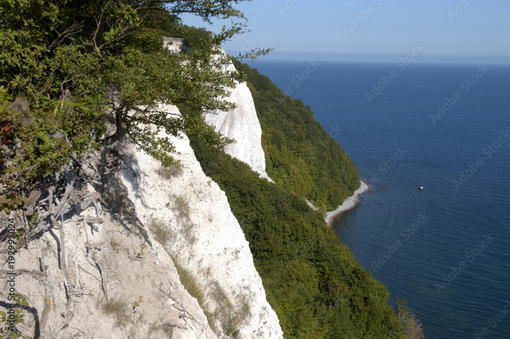 Fototapeta premium Kreidefelsen am Königsstuhl auf der Insel Rügen