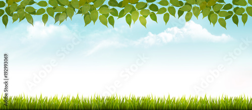 Nature spring background with grass and leaves. Vector.