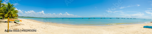 Beautiful panorama of red crown beach in Porto Seguro in Brazil in Bahia, deserted, with some fishing boats, a coconut tree and an amazing blue ocean and sky. 