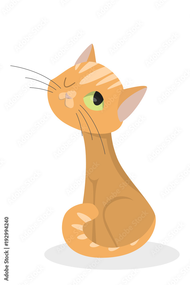 Fototapeta premium Isolated ginger cat.