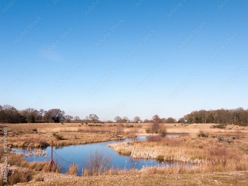 open summer day golden grass land nature reserve lake pond open summer day golden grass land nature reserve lake pond
