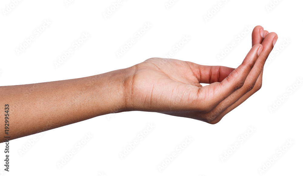 Woman holding palm open isolated on white Woman holding palm open isolated on white