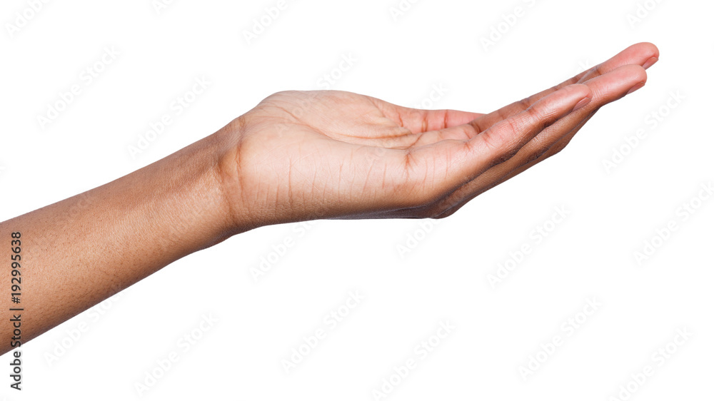 Woman holding palm open isolated on white Woman holding palm open isolated on white