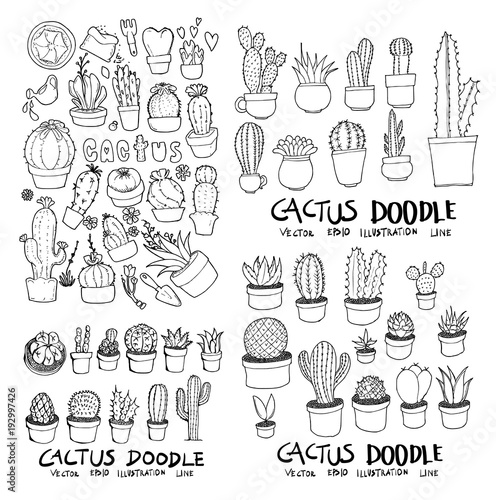 Cactus doodle illustration wallpaper background line sketch style set on chalkboard eps10